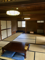 IMG_3890.jpeg