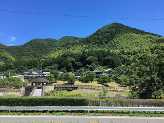 IMG_8639.jpg