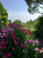 IMG_8660.jpg
