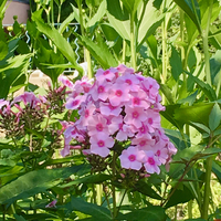 IMG_8673.jpg