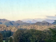 IMG_9782.jpg